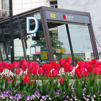 ����·��������