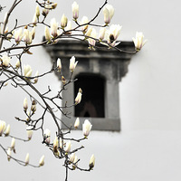 ���ڴ���Ļ�����������