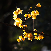 ����Ů��ڿ��֣�