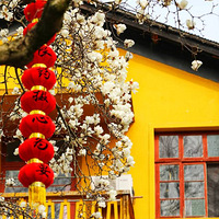 ��һ��ȥ��ϲ����500�����������