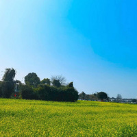 �������ﶬ������ͷ�Ĵ���