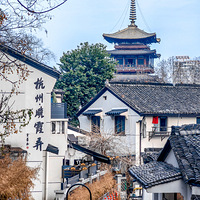 ʮ�������ϼŪ�������ޱ�ø�Ư���ˣ�