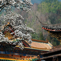 ��Ŀ����