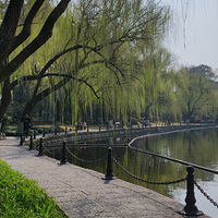 ���ҳصľ�ʮ���괹��