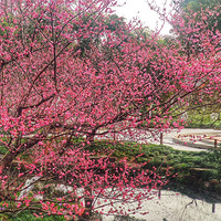 ����إһ����Ժ