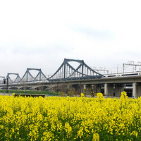 ��ʻ�ڴ�����г�