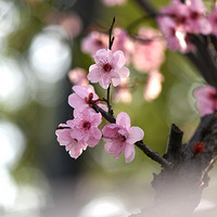 ���ڴ���Ļ���������÷��