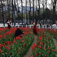 �Ͻ�����������