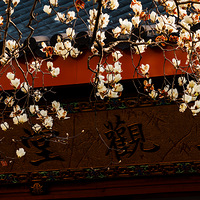 ��ϲ��500����������