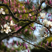 ÿ��һ��һ�εĽ������ջ�����һ�����ڲ�ͬ���㡣