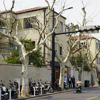 ��Ӱ����2503 ����·�־�