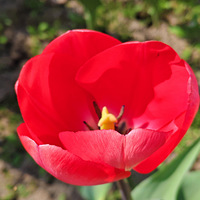 ̫���忴������