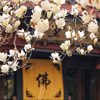 ����������1��