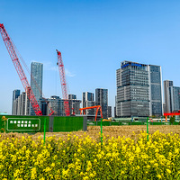 ���ɫ�Ͳ˻����������˴壬Ѥ����ʡ����·��㣡