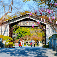 ����Ѱ��������������������