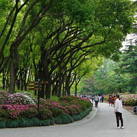 ��Ӱ����2504 �ž黨��