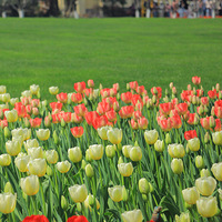 ������sayhi