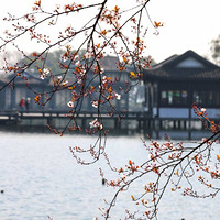 ���ϴ���