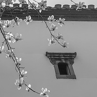 �ܼ���լǰ��һ�øߴ������������������Ө��͸