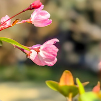 ������ݺ���ѻ��ڴ�������֮�ʿ�����