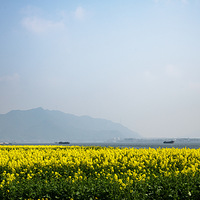 ������ͩ�ͻ�