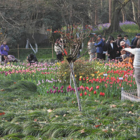 2026 ��̫���幫԰��