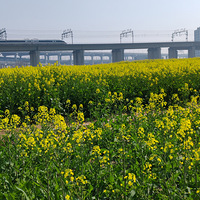 ƽ��·���Ͳ˻����������ڴ�������