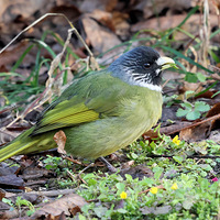 �ݵ���ʳ������ȸ��