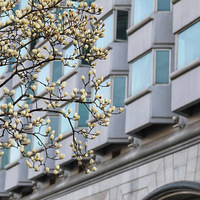 ����������4��