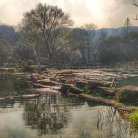 ����Ϫ���糿