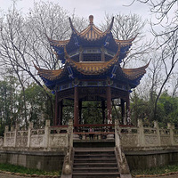 ����԰���ͤ��