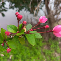 �����ô���