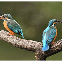 ���Ը����㣬�������ĵ�