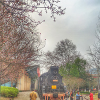 �߹����ݰ�����԰