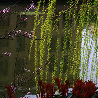 �Һ�����