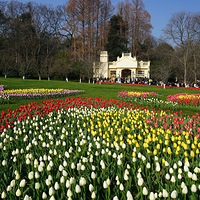 ̫���������㣨1��