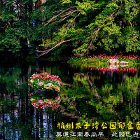 ����̫���幫԰�����㻨��