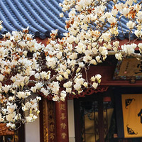 ����������3��