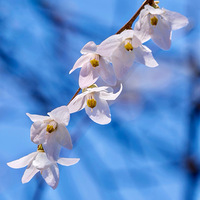 ����֮�ϡ����������������ţ����ݹ���