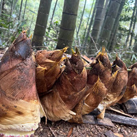 �������ﶬ����Ĺ���