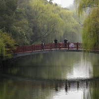 ���Ӵ�ɫ��