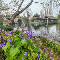 é�Ҳ�����ŵ��Ķ�������ֵʢ���ڣ��������Ƭ�ġ���ɫ�ؾ���