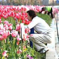 ��·�ϵķ羰��