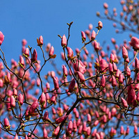 ����������5��