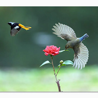 é�Ҳ���������