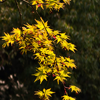 �������Ϣ