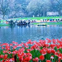 ������̫������������