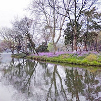 ������Ķ�������1��