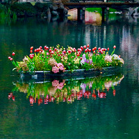 �˾������У������ر��