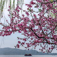 �˼����������죬�Һ����̣�������������ؾ�����